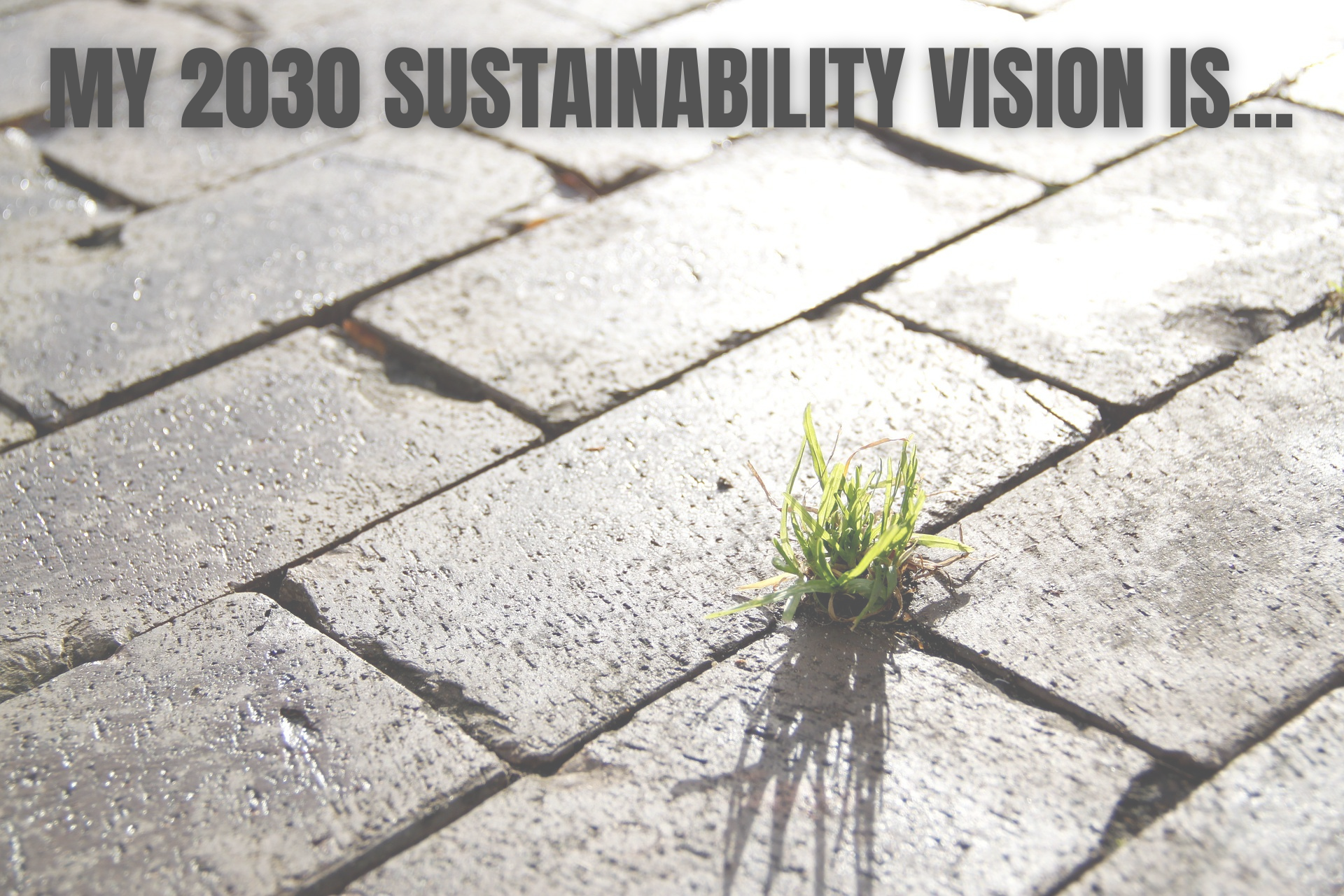 What is your Sustainable Vision for 2030?